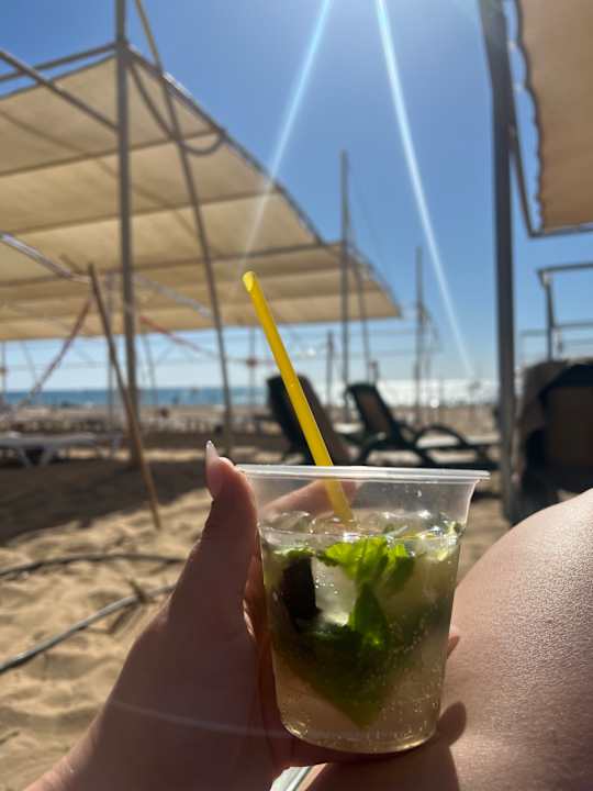 Pool Well Palace Side