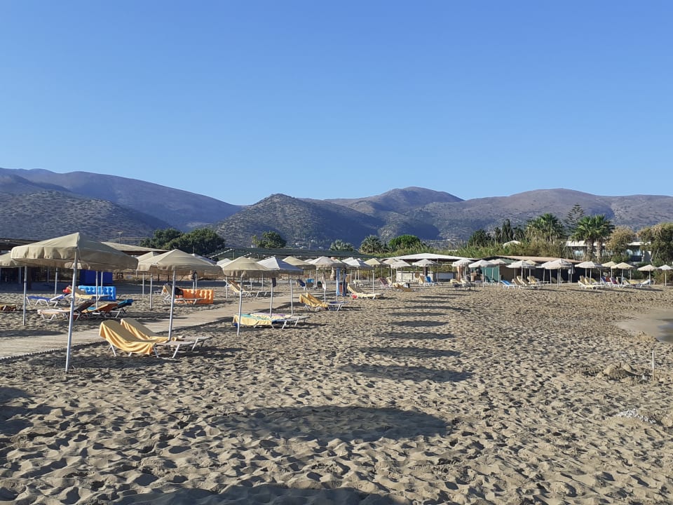 Strand allsun Hotel Carolina Mare