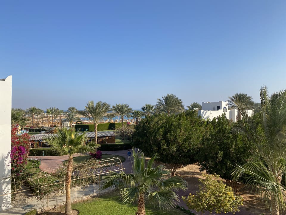 Gartenanlage Desert Rose