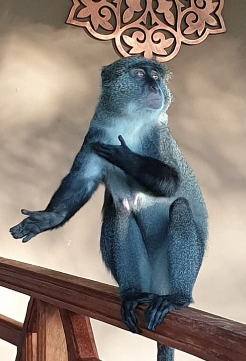 Sonstiges Neptune Village Beach Resort & Spa