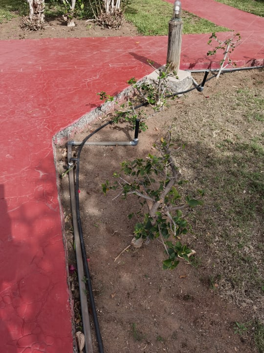 Gartenanlage HL Miraflor Suites Hotel