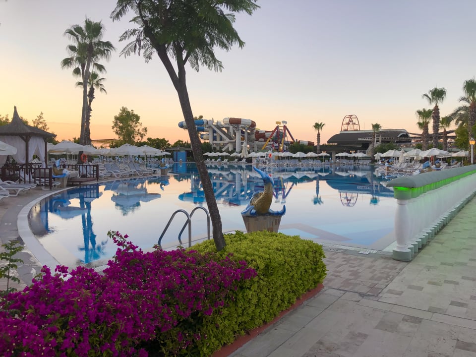 Pool Hotel Delphin Imperial