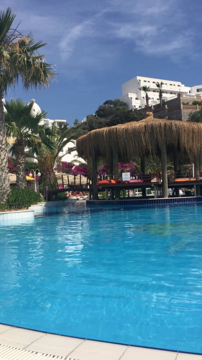 Pool Salmakis Resort & Spa