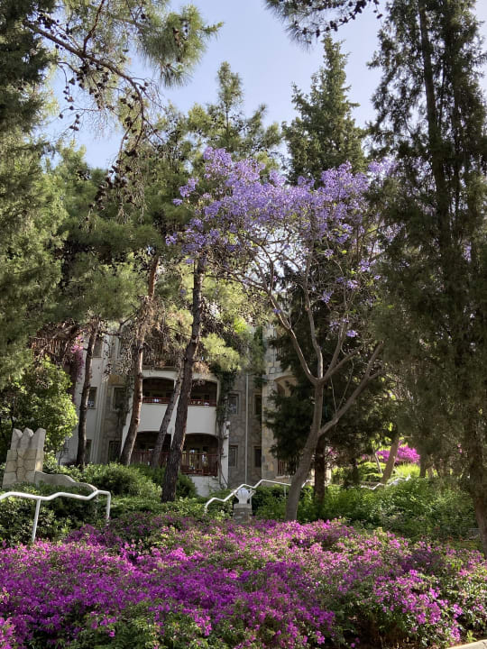 Gartenanlage Hapimag Sea Garden Resort