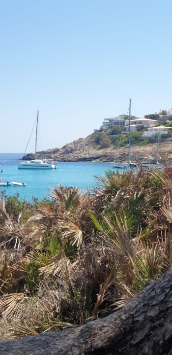 Ausblick Iberostar Waves Pinos Park