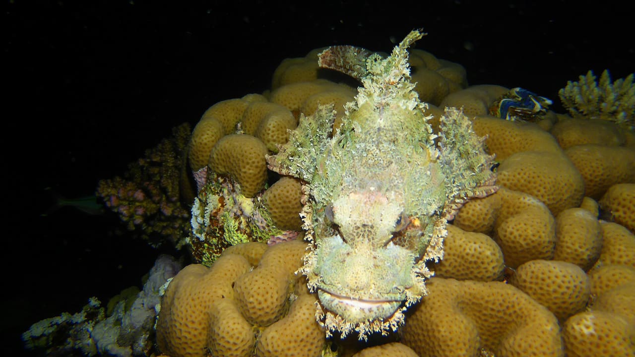 Strand Casa Mare Resort