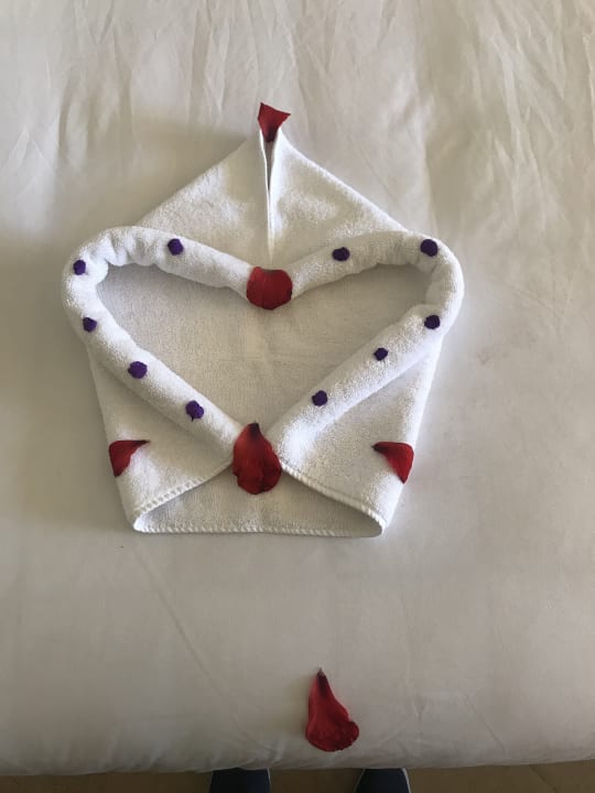 Zimmer Stella Garden Resort & Spa, Makadi Bay