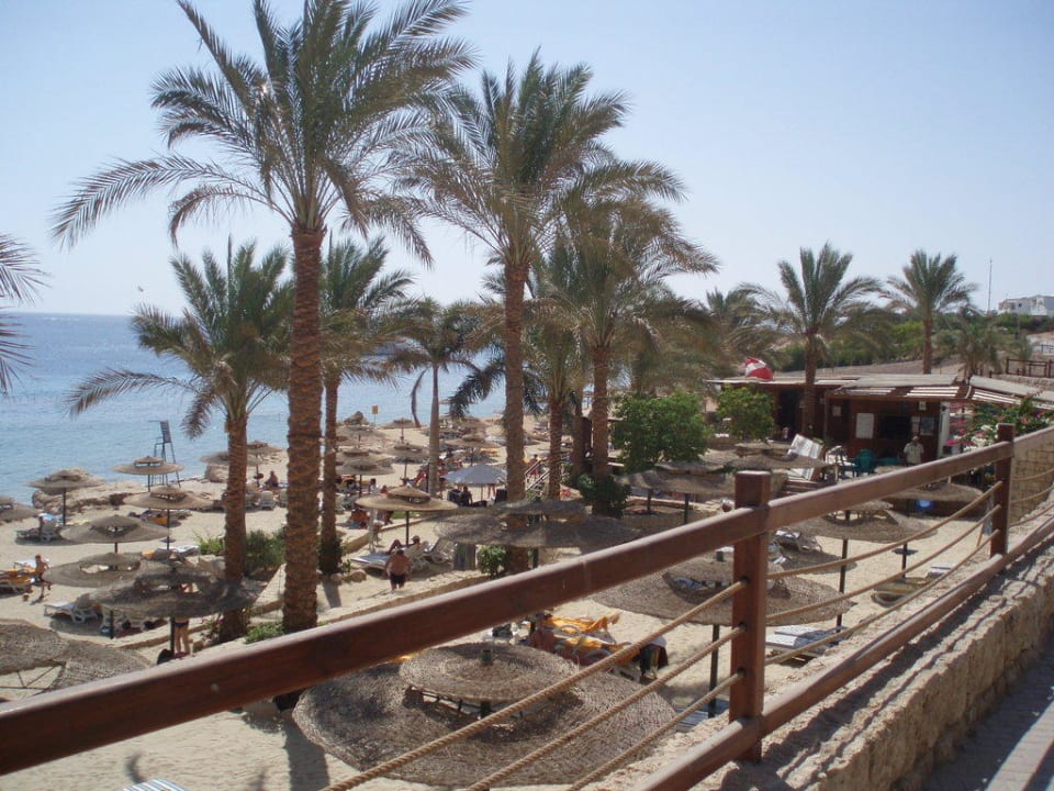 Hotelstrand von oben Hotel Continental Garden Reef Resort