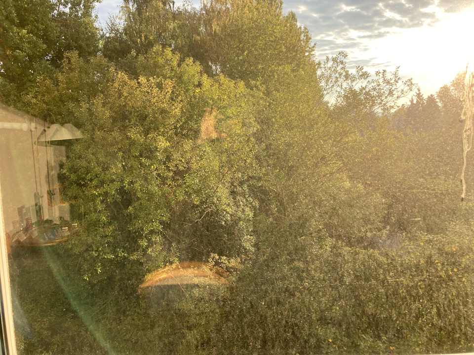 Zimmer Best Western Plaza Hotel Zwickau