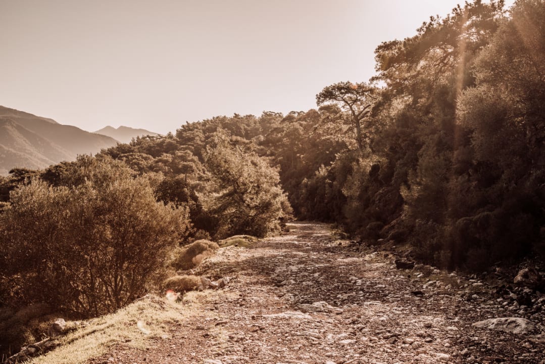 Sonstiges Cook's Club Adakoy Marmaris