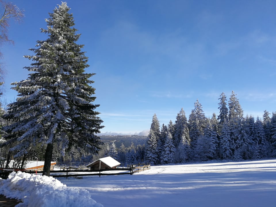 Vom Parkplatz aus Natur und Sporthotel Zuflucht