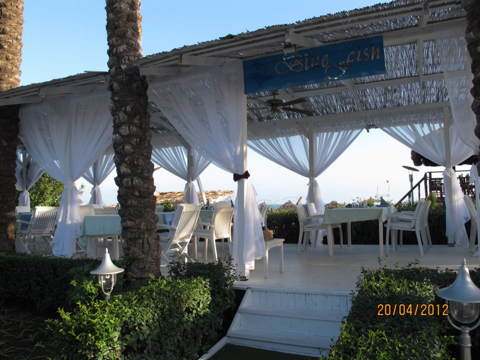 Das Blue Fish Restaurant Hotel Delphin Diva