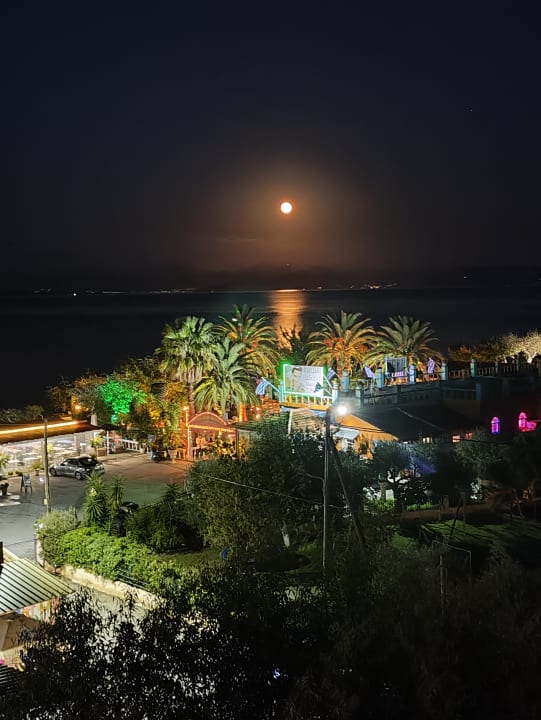 Ausblick Hotel Albatros