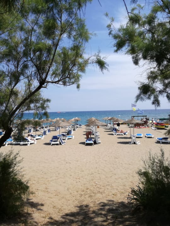 Gartenanlage Hotel Calypso Beach