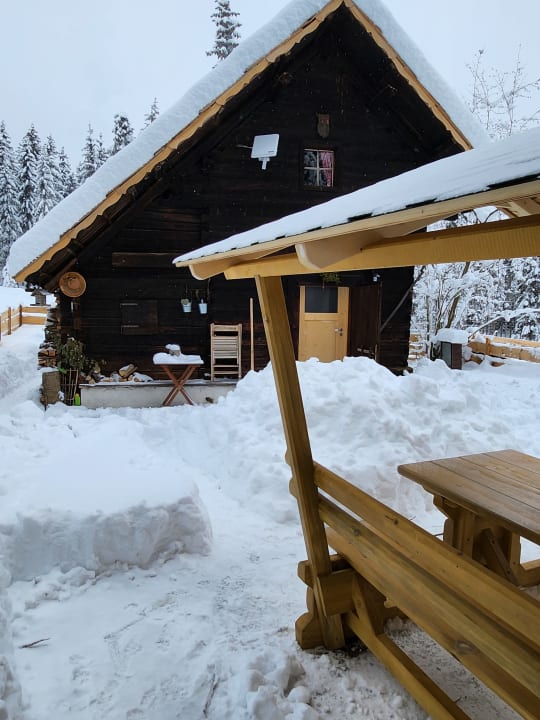 Außenansicht Urige Waldbienenhütte
