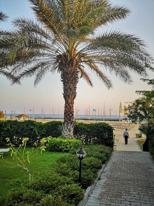 Gartenanlage Hotel Terrace Beach Resort