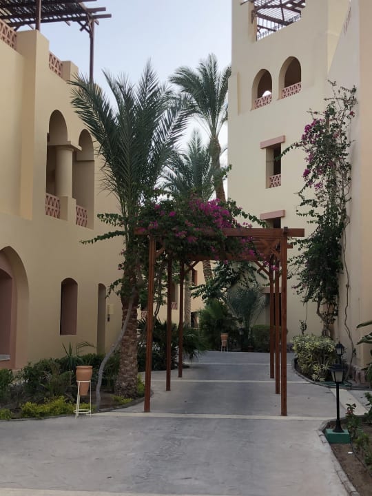 Gartenanlage Steigenberger Coraya Beach - Adults only