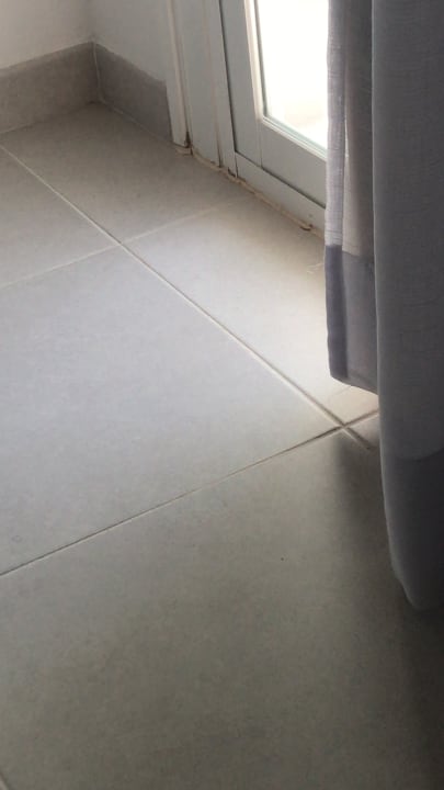 Zimmer Reverence Life  - Adults only