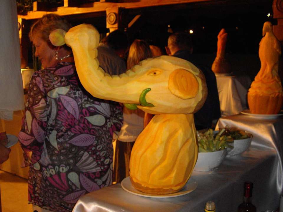 Dekoration  Ghazala Gardens