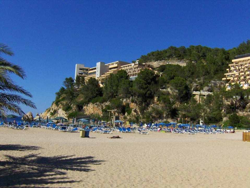 Puerto de San Miguel Sandos El Greco Beach Hotel 16+