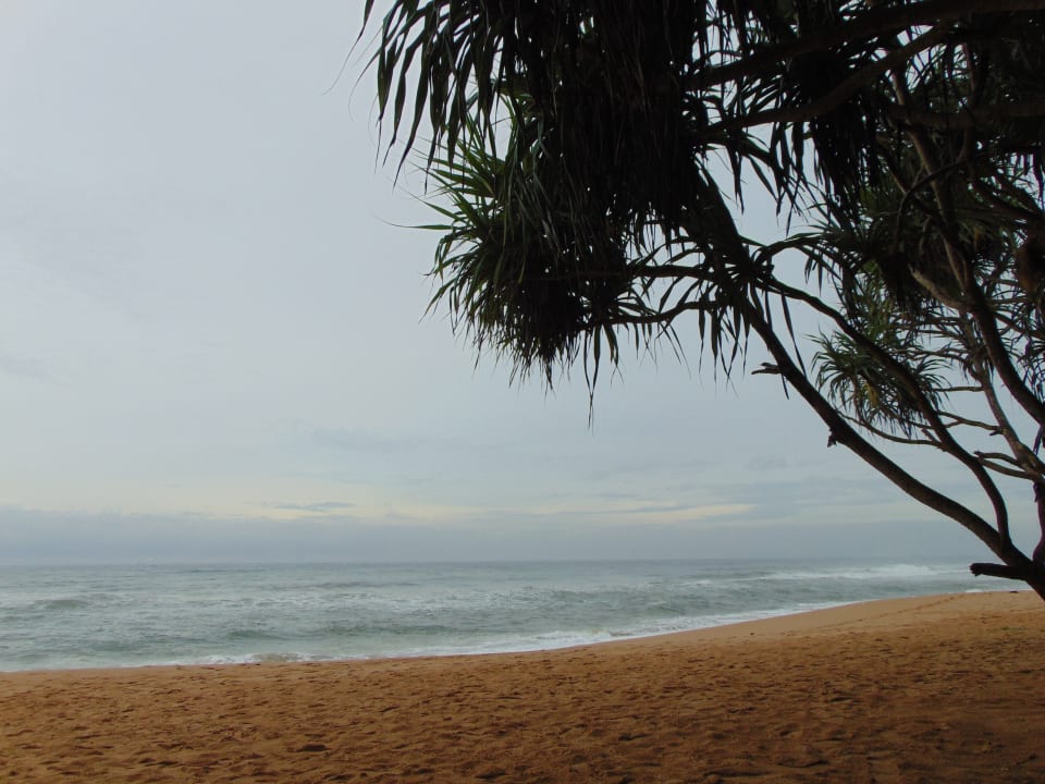 Strand Temple Tree Resort & Spa