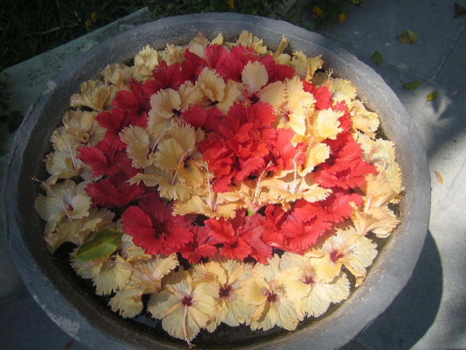 Blumendeko vor der Lobby Villa Park Sun Island