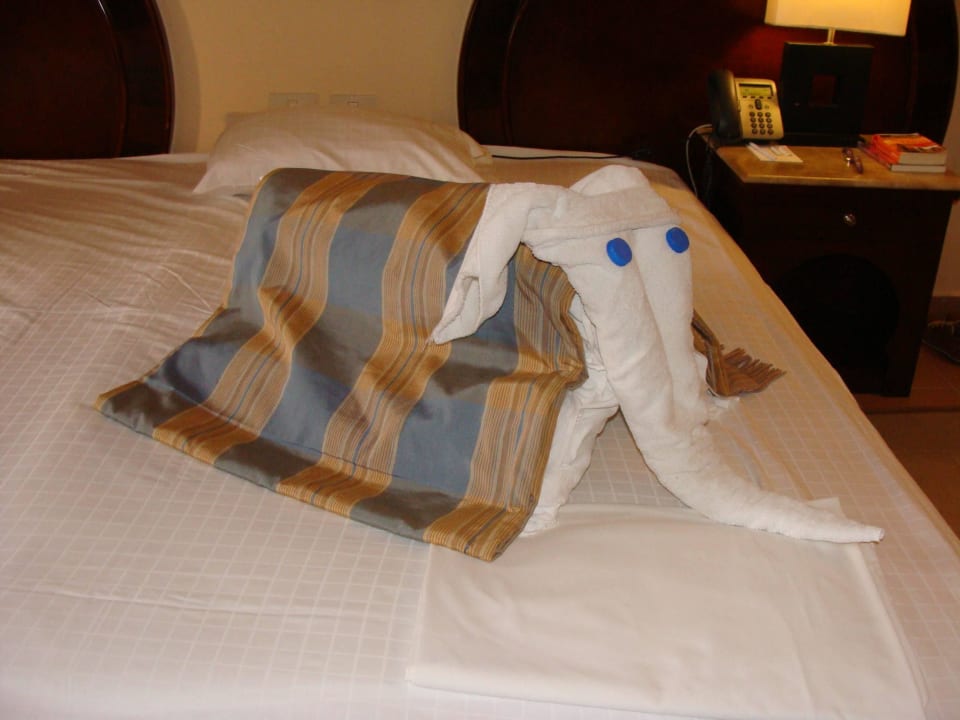 Tägliche überraschung Stella Beach Resort & Spa Makadi Bay