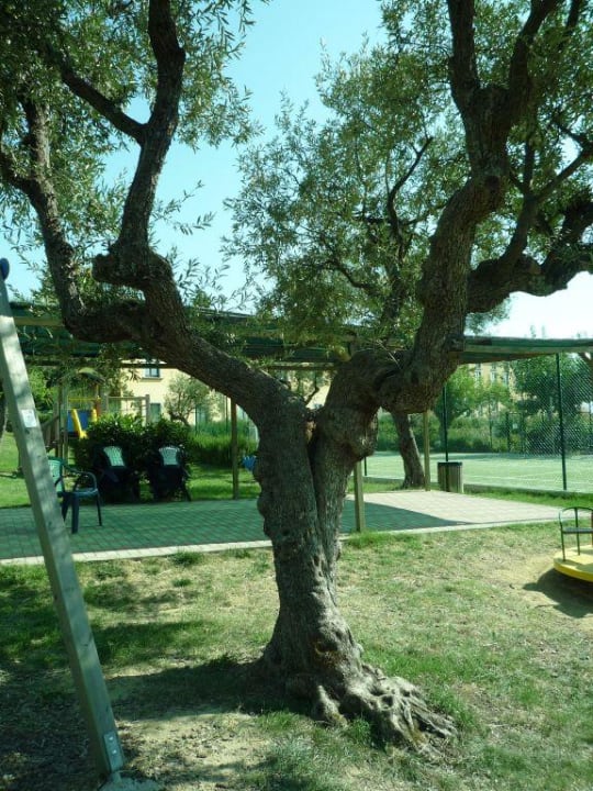 Spielplatz Hotel Villa Paradiso