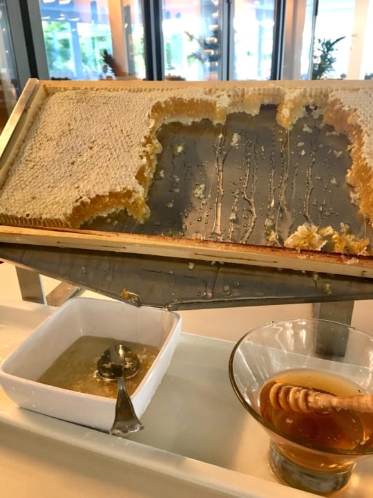 Gastro Prinsotel La Dorada