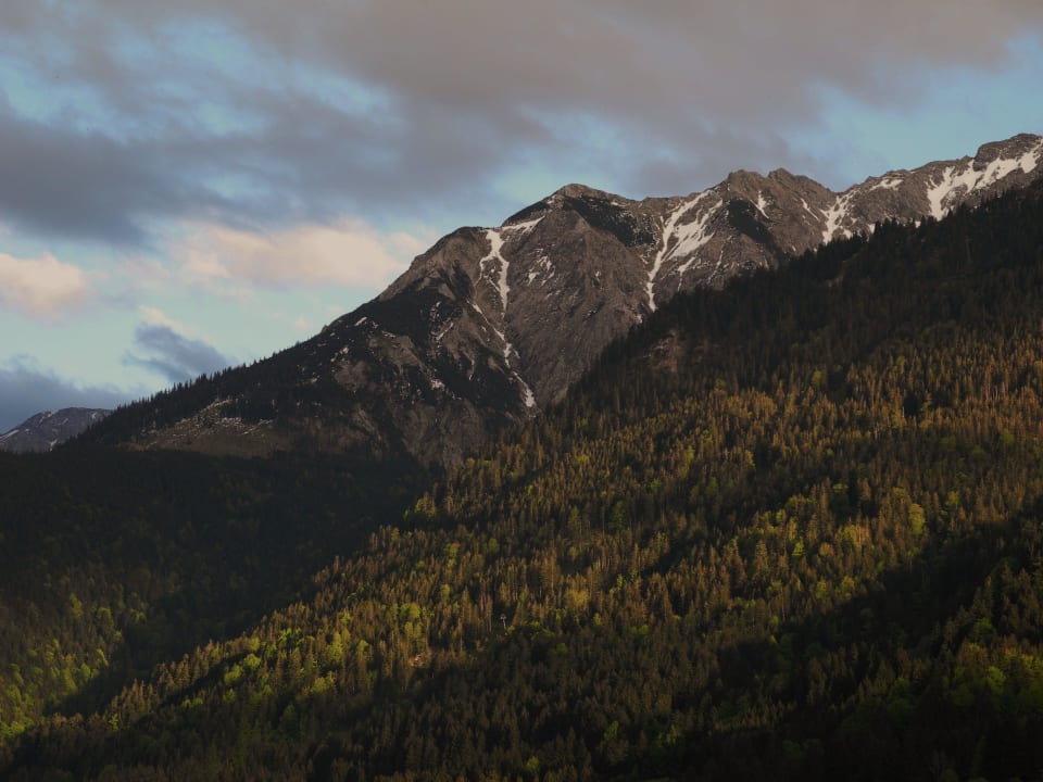Haus 1 Zimmer E1 Apartments Alpensonne 2000