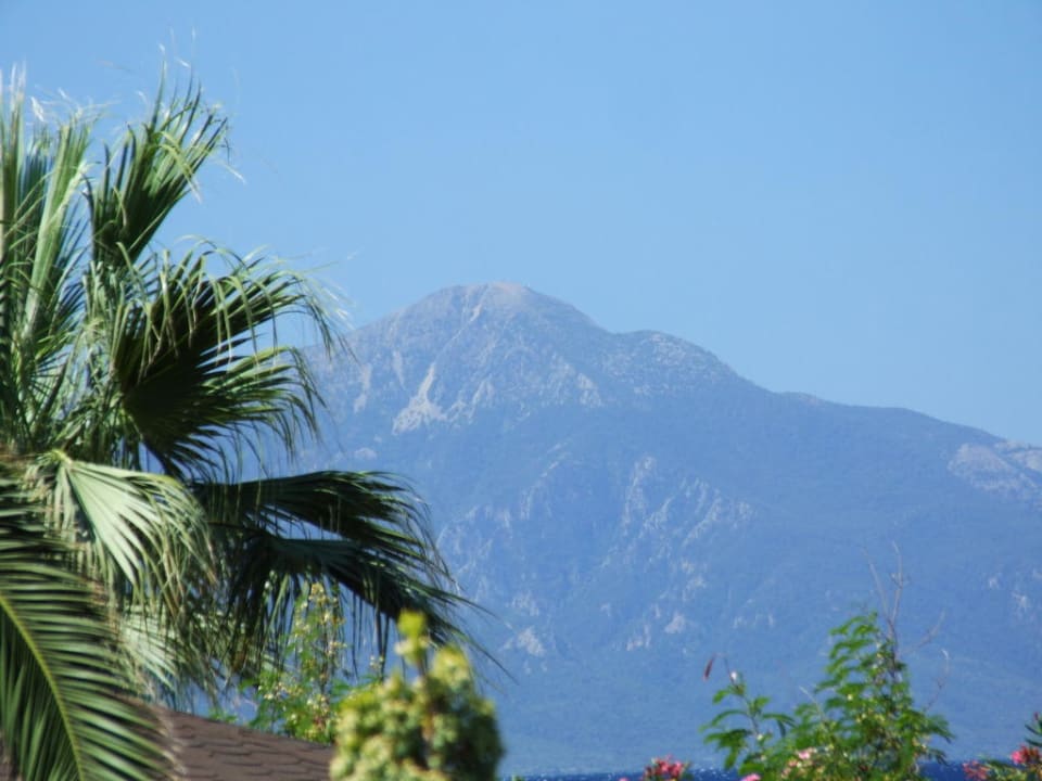 Widok z restauracji Hotel Ephesia