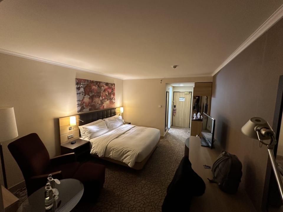 Zimmer Hilton Mainz