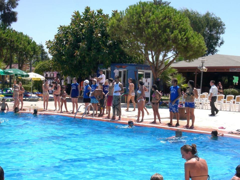 Animations-pool Club Turtas Beach Hotel