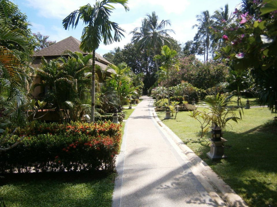 Garten weg zum Strand The Fair House Beach Resort