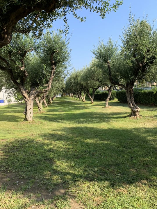 Gartenanlage TUI KIDS CLUB Alex Beach