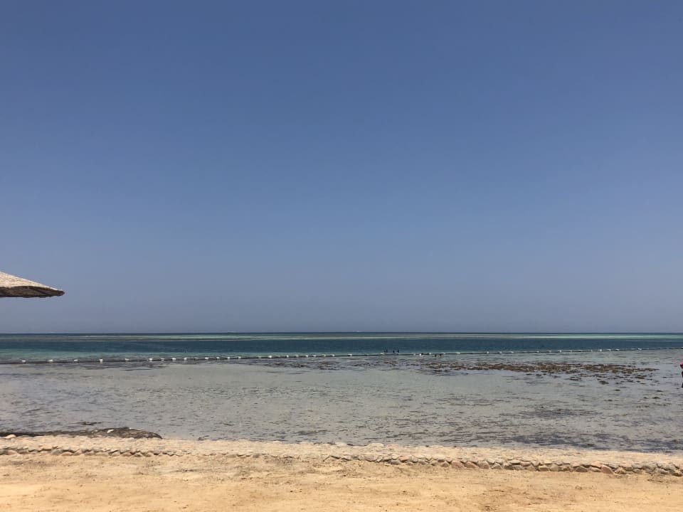 Strand Sea Star Beau Rivage