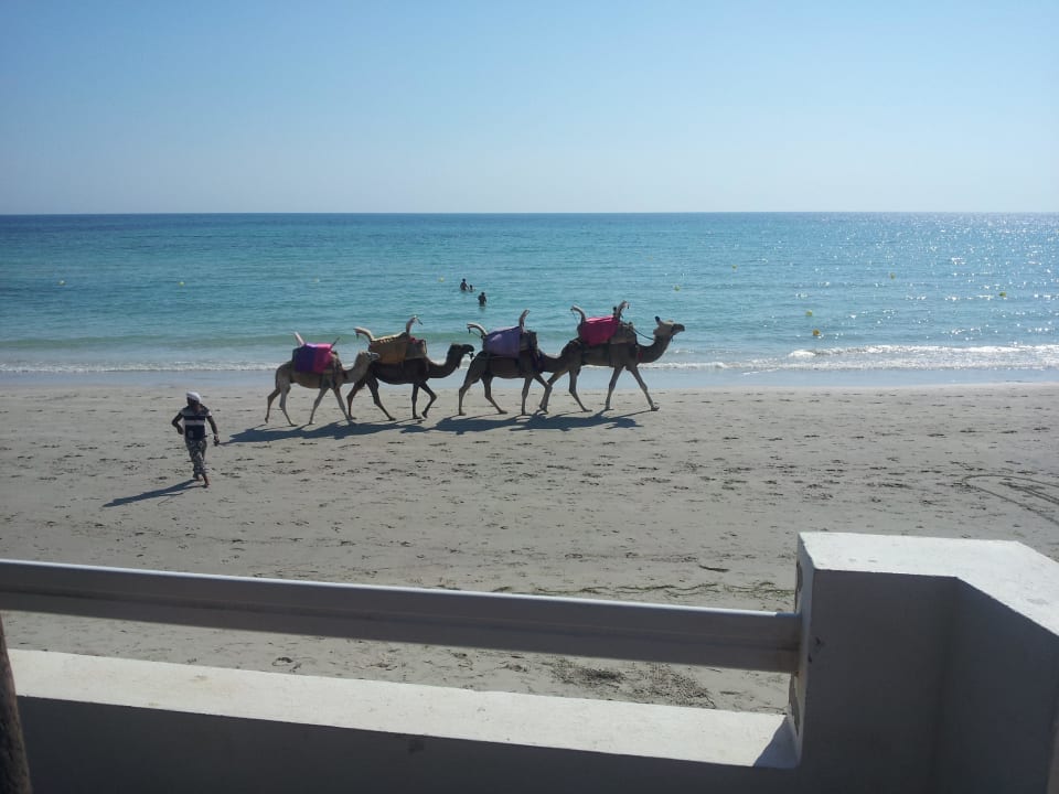 Romantik pur! Caribbean World Thalasso Djerba