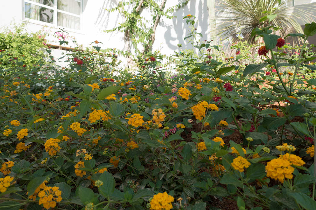 Gartenanlage Anissa Beach & Village