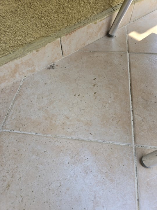 Zimmer Selectum Family Resort Side