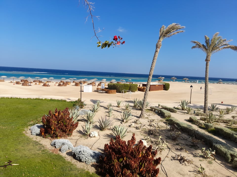 Strand Hotel Gorgonia Beach Resort