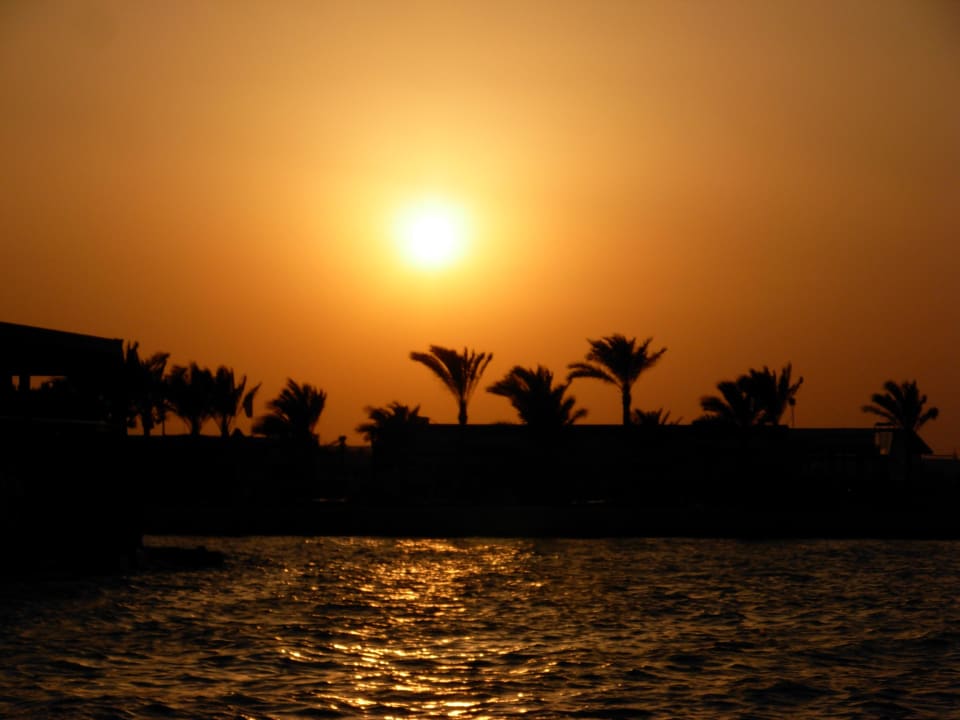 Sonnenuntergang Desert Rose