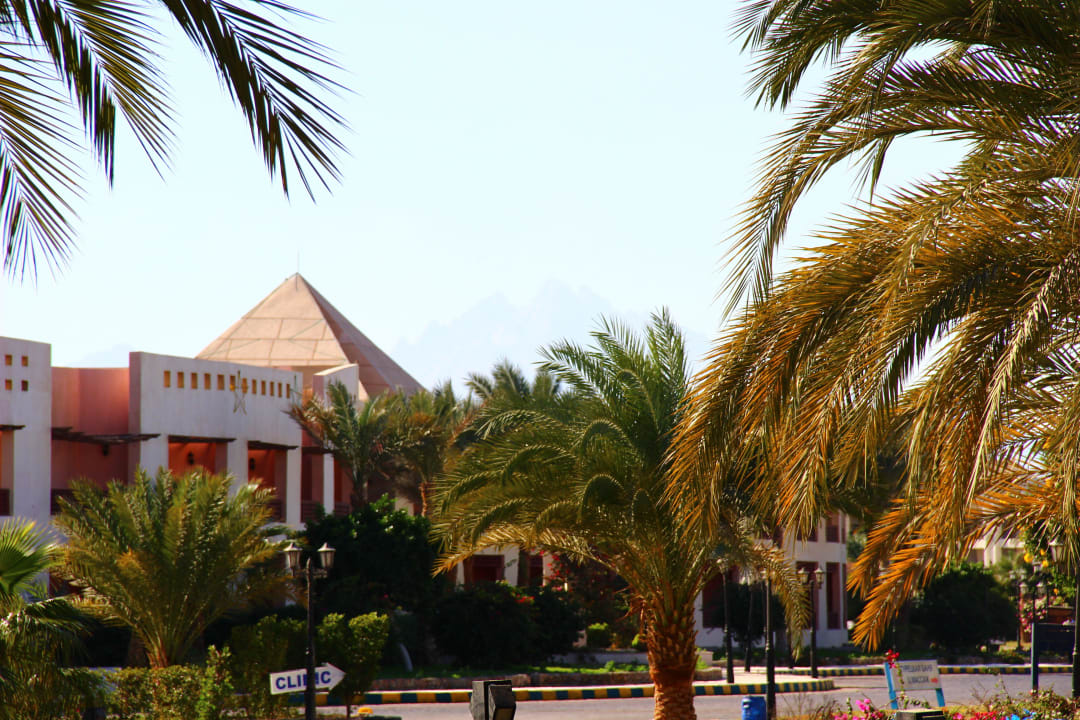 Территория у отеля Blend Club Aqua Resort