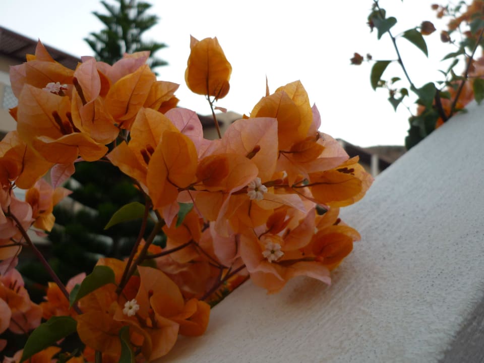 Vor der Türe Grand Hotel Holiday Resort