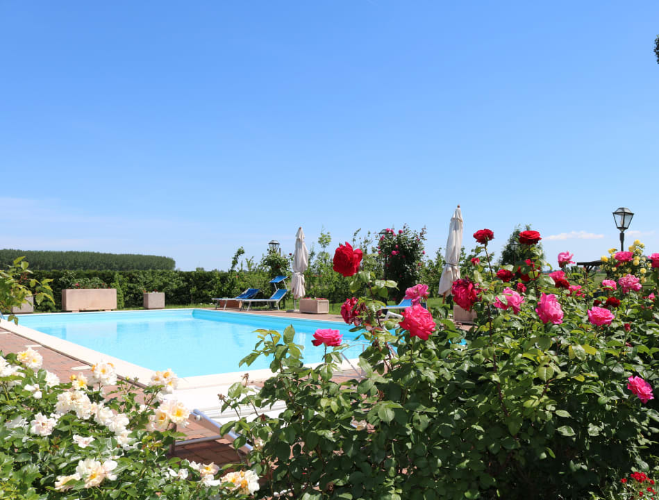 Pool Agriturismo Millefiori La Corte delle Rose