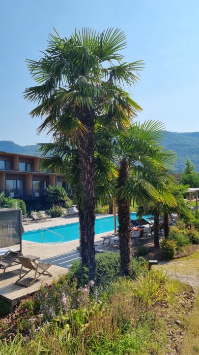 Pool Hotel Thalhof am See