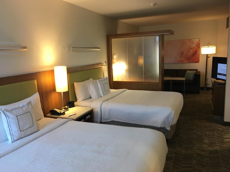 Zimmer SpringHill Suites by Marriott San Diego Mission Valley