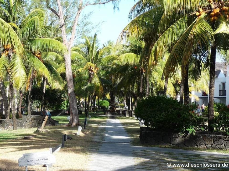 Gartenanlage Ambre Mauritius