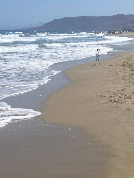 Strand Anemos Luxury Grand Resort