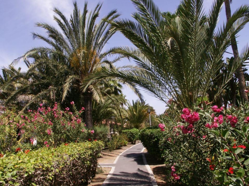 Weg zur Gaststätte Sun Club Playa del Ingles