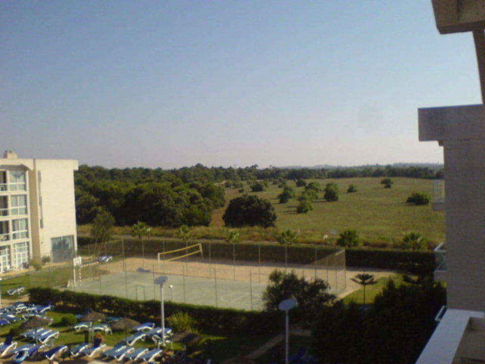 Volleyball Platz Hotel Zafiro Alzinar Mar